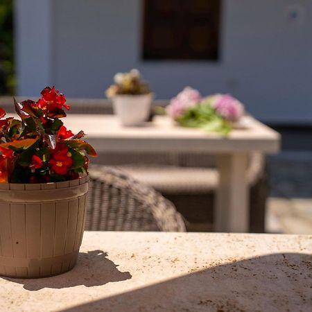 Paradeisos Rooms Pelion Áyios Dhimítrios Eksteriør bilde