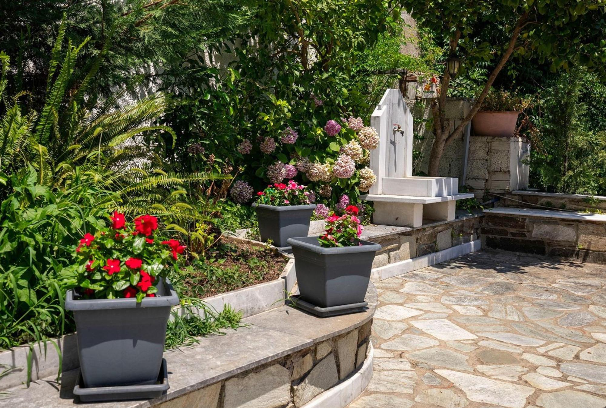 Paradeisos Rooms Pelion Áyios Dhimítrios Eksteriør bilde